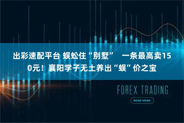 出彩速配平台 蜈蚣住“别墅”   一条最高卖150元！襄阳学子无土养出“蜈”价之宝