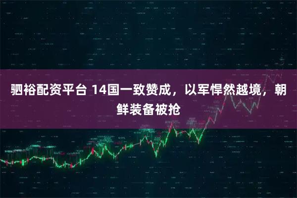 驷裕配资平台 14国一致赞成，以军悍然越境，朝鲜装备被抢